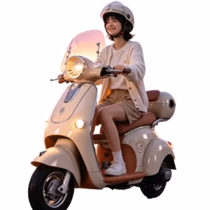 vintage electric leisure vehicle - Fully Enclosed Electric Tricycle Vintage Style for Women Leisure Commuting CE Certified Vi