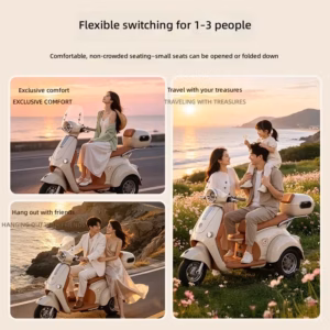 Fully Enclosed Electric Tricycle Vintage Style for Women Leisure Commuting CE Certified Vintage Electric Tricycle - Image 2