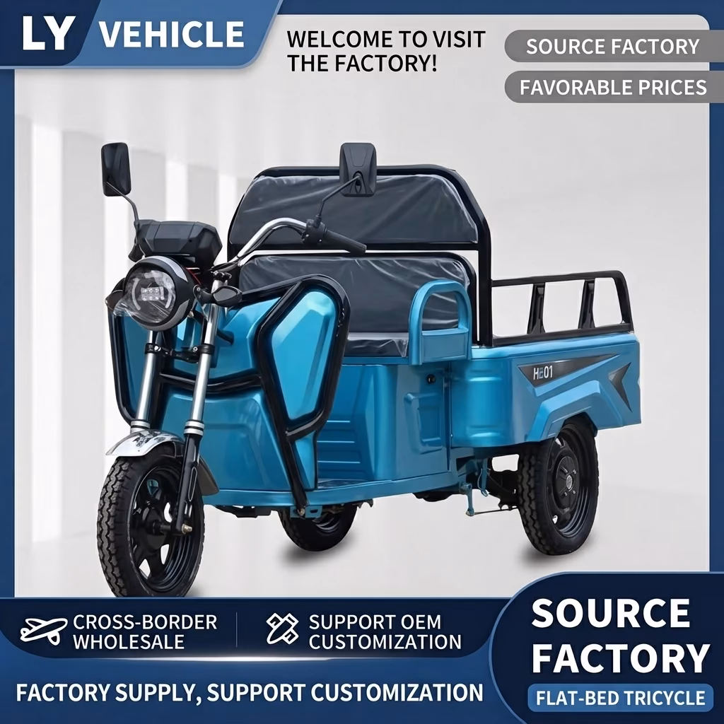 Long Range High Power Electric Cargo Tricycle 3 Wheeled Adult Farm Delivery Trike Logistics Freight Transport Electric Vehicle - Image 4