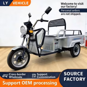 Long Range High Power Electric Cargo Tricycle 3 Wheeled Adult Farm Delivery Trike Logistics Freight Transport Electric Vehicle - Image 5