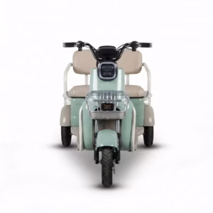 URIT Electric Cargo Tricycle 2-Passenger Open Body 200-300kg Payload 70-90km Range 501-800W Motor CE Certified Family Daily Use - Image 3